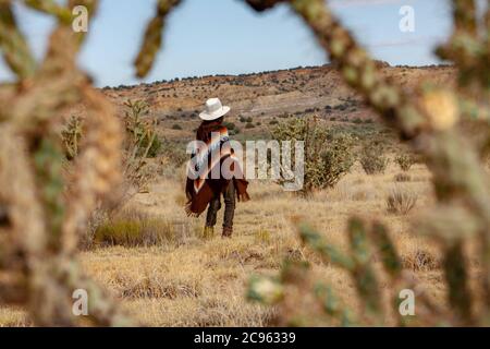 Donna ispanica in un poncho e cowboy cappello escursioni attraverso un suggestivo, caldo deserto paesaggio circondato da alto cactus nella Ojito Wilderness Area, New M. Foto Stock