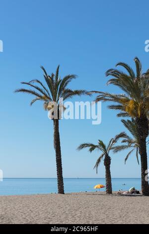 Torremolinos, Costa del Sol, Provincia di Malaga, Andalusia, Spagna meridionale. Palme e ombrellone sulla spiaggia di Playamar. Foto Stock