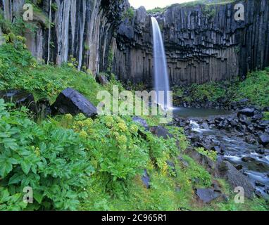 Geografia / viaggio, Islanda, Sudurland, Skaftafell, cascata Svartifoss nel Skaftafell nazionale p, Additional-Rights-Clearance-Info-non-disponibile Foto Stock