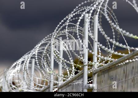 Security Fence con Razor Wire Foto Stock