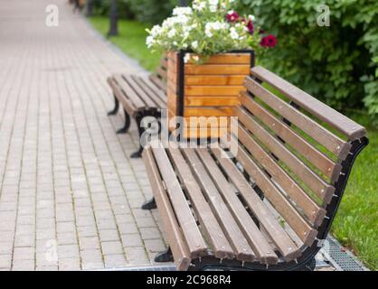 Panchine in fila in un vicolo in un parco estivo con fiori. Foto Stock