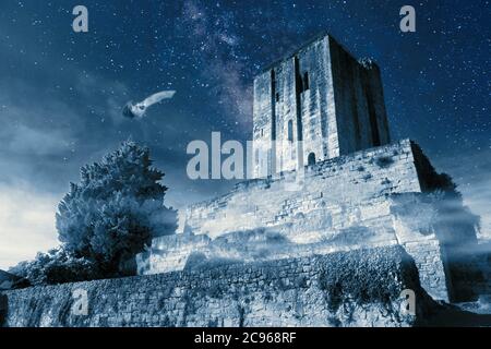 Tour notturno della torre medievale di Roy con pipipistrello a Saint Emilion in Francia Foto Stock