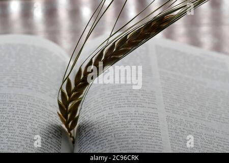 Il libro sacro della Bibbia e dell'orecchio del grano come simbolo del cibo spirituale e fisico. Francia. Foto Stock