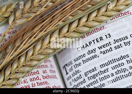 Il libro sacro della Bibbia e delle orecchie di grano come simbolo del cibo spirituale e fisico. Francia. Foto Stock