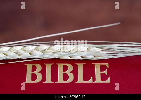 Il libro sacro della Bibbia e dell'orecchio del grano come simbolo del cibo spirituale e fisico. Francia. Foto Stock