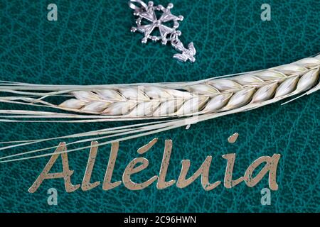 Alleluia, un protestante lode e culto Songbook Protestante Hugenot croce e orecchio di grano. Francia. Foto Stock