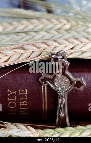 Il libro sacro della Bibbia e delle orecchie di grano come simbolo del cibo spirituale e fisico. Francia. Foto Stock