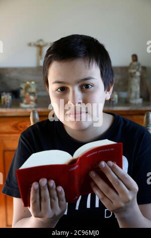 Ragazzo che legge la bibbia a casa a Eure, in Francia. Foto Stock