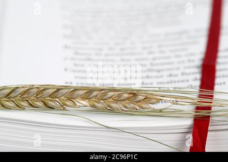 Il libro sacro della Bibbia e dell'orecchio del grano come simbolo del cibo spirituale e fisico. Francia. Foto Stock