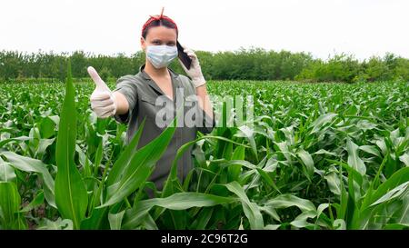 Femmina contadina al telefono indossa una maschera medica e un guanto di gomma guardando la macchina fotografica nel campo di mais dando pollici in su. Foto Stock