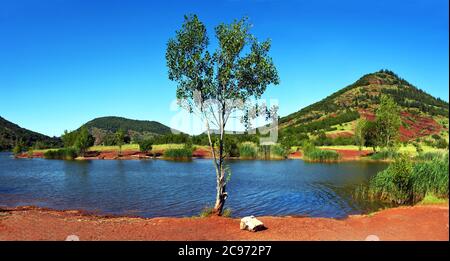 Lago di stoccaggio Lac du Salagou, Francia, Herault, Celles Foto Stock