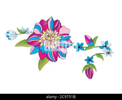 Illustrazione grafica del fiore colorato e di una serie di altri fiori, tutti isolati su sfondo bianco. Fucsia Rosa e blues. Foto Stock