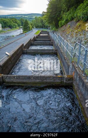 Piscine o camere con acqua corrente nella scala dei salmoni presso la diga di Pitlochry sul fiume Tummel, Scozia Foto Stock