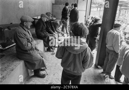 Carmarthen Mart (vecchio sito) bestiame e quota latte asta 1992 Foto Stock