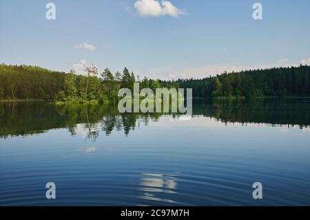 Lago pulito sullo sfondo della foresta in giorno suuny Foto Stock