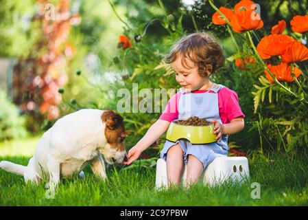 La bambina che si prende cura del suo animale domestico alimenta il cane dalla ciotola con cibo asciutto Foto Stock