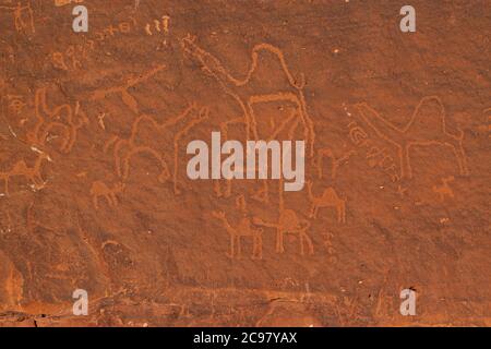 Primo piano vista frontale delle iscrizioni preistoriche in pietra e dei petroglifici fatti dai beduini nomadi sulla superficie delle rocce di arenaria rossa di Wadi Rum Foto Stock