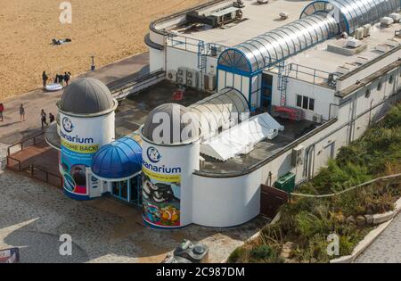 L'oceanarium di Bournemouth è un'attrazione turistica dell'acquario per le persone che possono sperimentare la vita nei pressi del molo di Bournemouth a Dorset. Inghilterra Regno Unito (120) Foto Stock