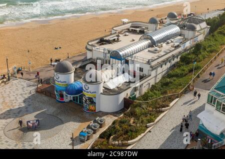 L'oceanarium di Bournemouth è un'attrazione turistica dell'acquario per le persone che possono sperimentare la vita nei pressi del molo di Bournemouth a Dorset. Inghilterra Regno Unito (120) Foto Stock