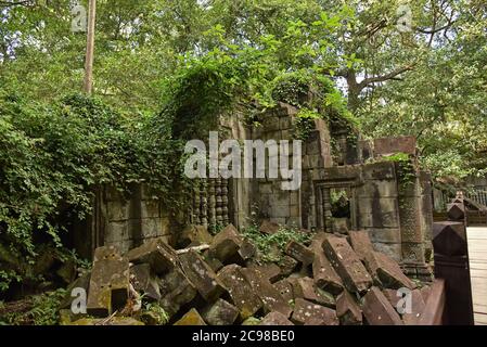 Mura e rovine cresciute dalla foresta, Beng Mealea, Cambogia Foto Stock