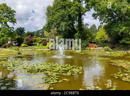 Cliveden House Maidenhead Berkshire vista sul giardino d'acqua e laghetto di giglio Foto Stock