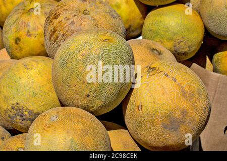 I meloni belli, gustosi e dolci in vendita aspettano che il sole estivo risplenda sui clienti. Foto Stock