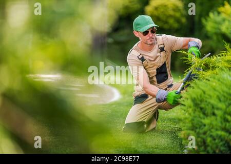 Lavoratore caucasico del giardino nei suoi anni '40 rifilare piante da giardino decorative utilizzando strumenti di taglio professionali. Tema dell'industria del giardinaggio e del paesaggio. Foto Stock