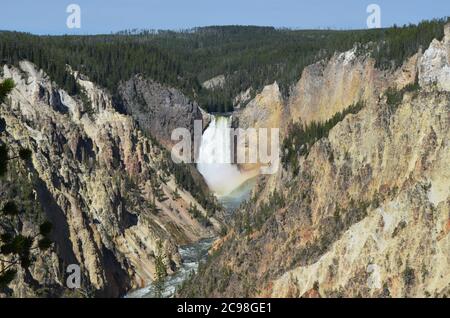 Primavera tarda nel Parco Nazionale di Yellowstone: Cascate di Lower Yellowstone nel Grand Canyon del fiume Yellowstone visto da Artist Point Foto Stock