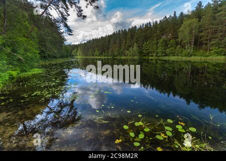 Splendidi paesaggi lacustri nel Parco Nazionale di Aukstaitija, Lituania. Primo parco nazionale lituano. Foto Stock