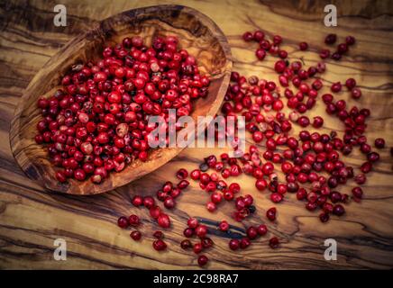 Peperone rosso dal brasiliano Schinus Terebinthifolia Tree Foto Stock