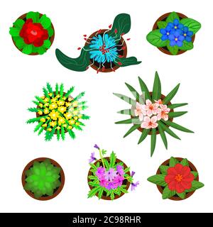 Set di fiori in vasi isolati su sfondo bianco. Pianta icona collezione vista dall'alto con fiori. Fiori verdi in casa in pots.Stock illustrazione vettoriale Illustrazione Vettoriale