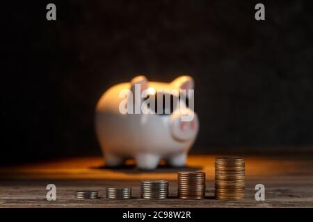 accumulo di denaro. airbag finanziario. banca piggy con monete Foto Stock