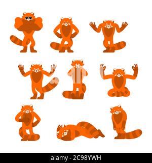 Panda rosso pose e movimento. Animali selvatici felici e yoga. Bestia addormentata e arrabbiata, colpevole e triste. Illustrazione vettoriale Illustrazione Vettoriale
