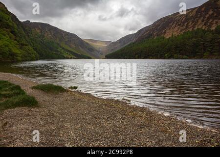 Vista delle zone umide del Wiclow Mountains National Park, Glendalough, Irlanda Foto Stock