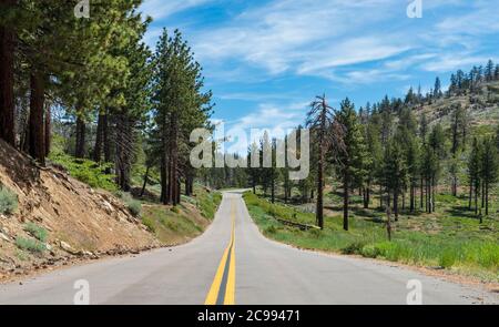 Strada panoramica asfaltata che attraversa la verde pineta sotto il cielo blu con le nuvole bianche. Foto Stock