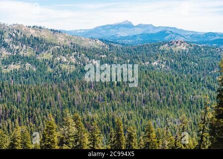 Si affaccia sulla verde valle boschiva con un'alta cima di montagna oltre. Foto Stock