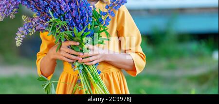 La ragazza tiene un bel bouquet grande di lupino nelle sue mani. Giorno estivo soleggiato. Foto Stock