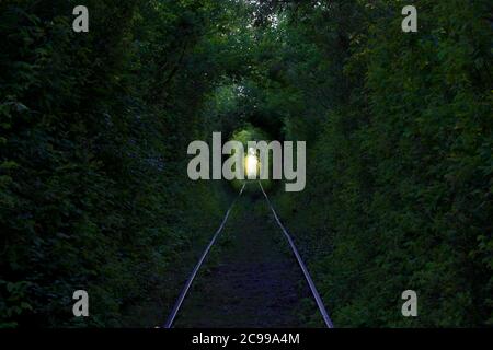 Il Tunnel dell'Amore. Meraviglie della natura. Arco naturale formato da alberi intrecciati sopra una ferrovia. Arco di tunnel verde di alberi nella foresta Foto Stock