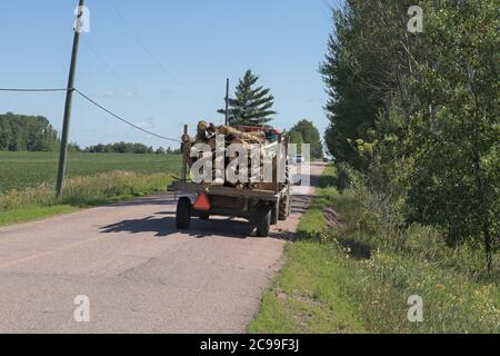 trattore che tira su strada un vecchio rimorchio pieno di legna da ardere Foto Stock