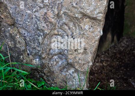 Un'ammonite fossilizzata nella pietra portale sinistra dell'ingresso allo Stoney Littleton lungo Barrow Neolitico vicino a Wellow nel Somerset. La pietra più grande Foto Stock