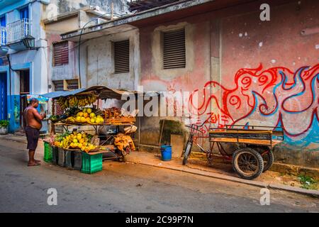 L'Avana, Cuba, 2019 luglio, vendor di frutta di strada e il suo stallone nella parte vecchia della città Foto Stock