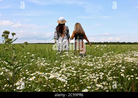 Felici due ragazze che camminano attraverso un campo di camomilla che tiene le mani... Foto Stock