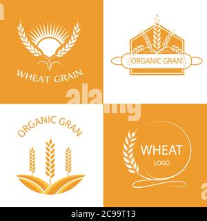 Loghi vettoriali con grani di grano. Set di grano lineare vettoriale, logo campo modello grano e grafica grano per emblemi da forno. Illustrazione Vettoriale