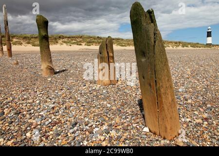 Difesa del mare di legno e faro di ritorno a Spurn Point, vicino a Kilnsea, East Yorkshire, Regno Unito. Foto Stock