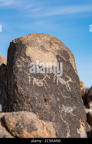 Primo piano di petroglifici preistorici degli Indiani d'America, in cima a Signal Hill nel Parco Nazionale di Saguaro Foto Stock