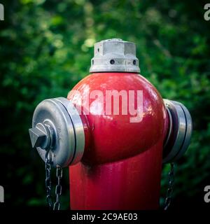 Colpo di closeup di un idrante rosso sotto la luce del sole Foto Stock