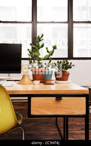 Scrivania da ufficio con piante interne come cactus e cancelleria su sfondo  bianco, creando un ambiente di lavoro rilassante Foto stock - Alamy