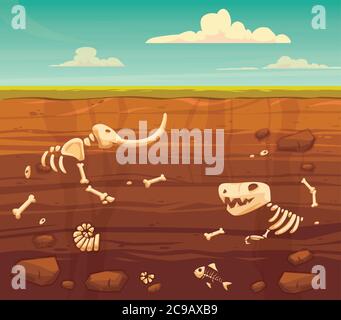 Strati macinati con ossa. Animali fossili sepolti, dinosauro, mammut, scheletro di pesce e molluschi.Vector illustrazione cartoon stile piatto Illustrazione Vettoriale