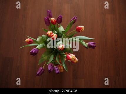 Tulipani colorati nel vaso sul pavimento di legno duro Foto Stock