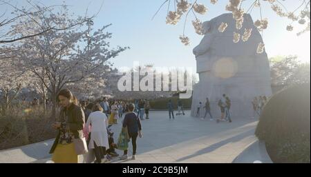 Martin Luther King Memorial a Washington DC durante la stagione dei fiori di ciliegio con vista laterale Foto Stock